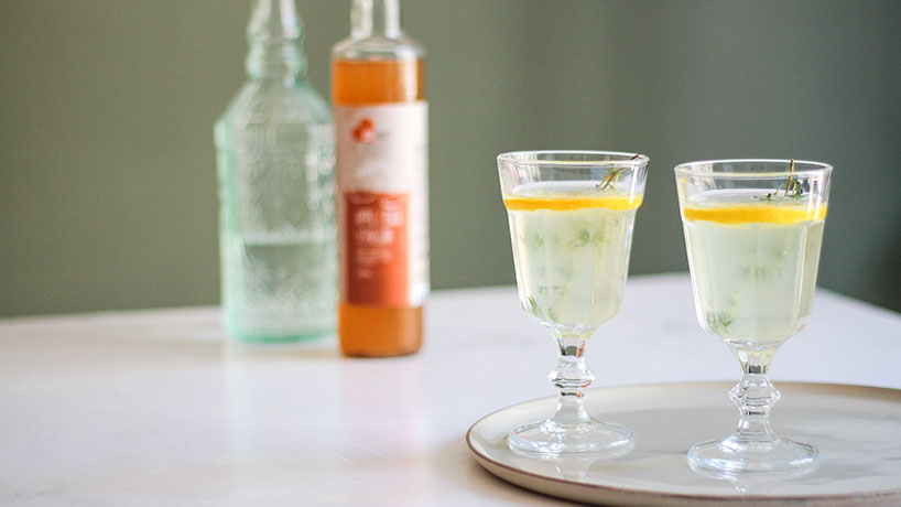 APPLE CIDER VINEGAR COCKTAIL (DETOX WHILE YOU PARTY!)