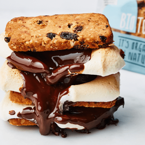 s'mores recept